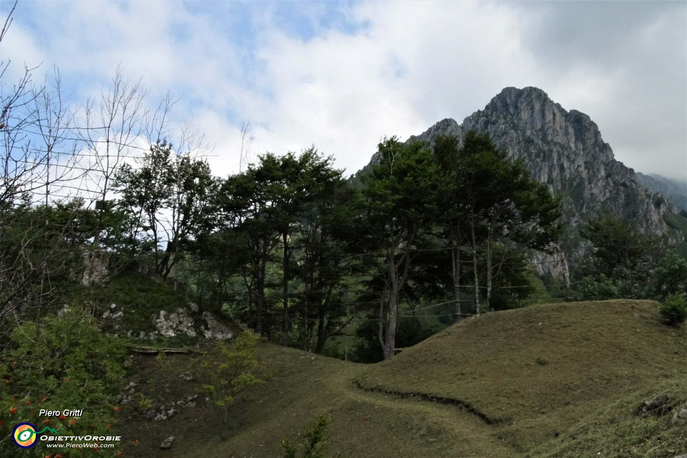 58 Prati ben rasati al Passo Barbata con vista in creste Alben.JPG